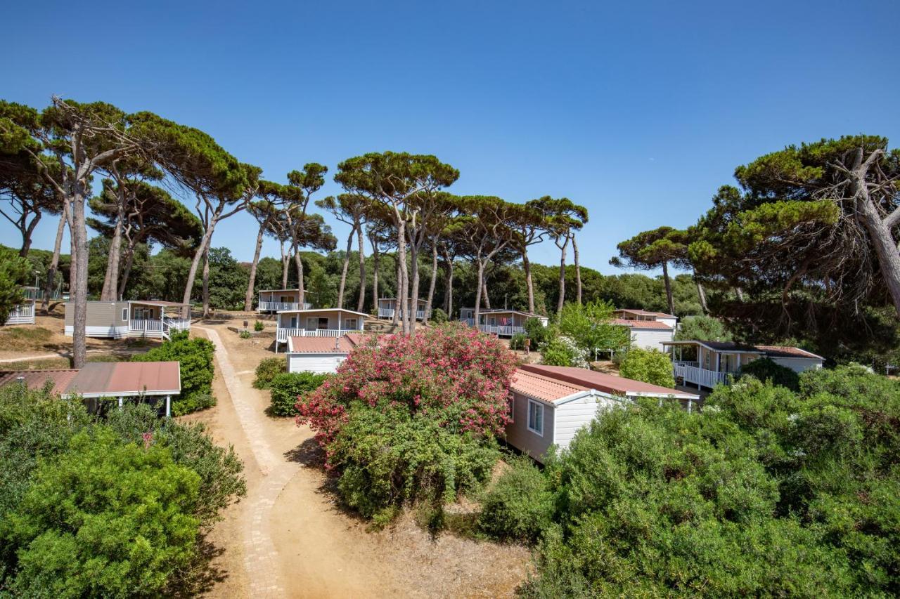 Parco Della Gallinara Lido dei Pini Esterno foto
