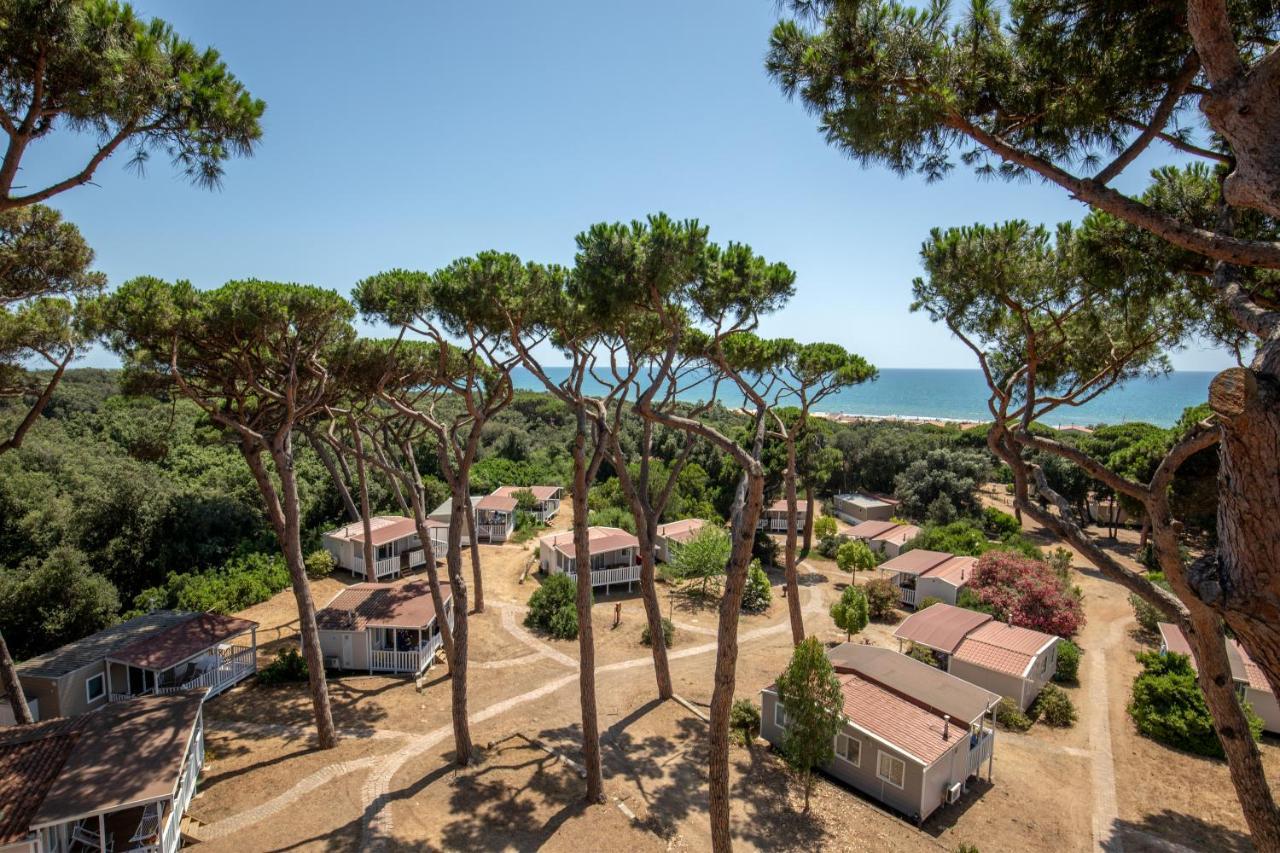 Parco Della Gallinara Lido dei Pini Esterno foto